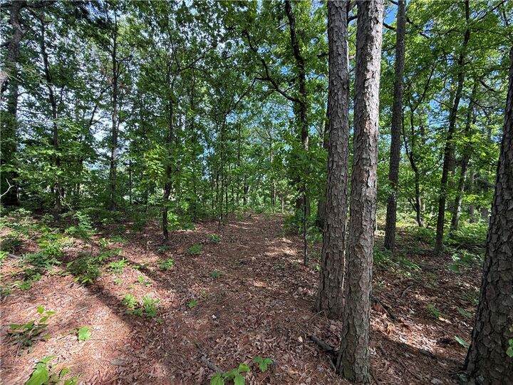 Property Photo:  8 Soth Hills Loop  AR 72631 