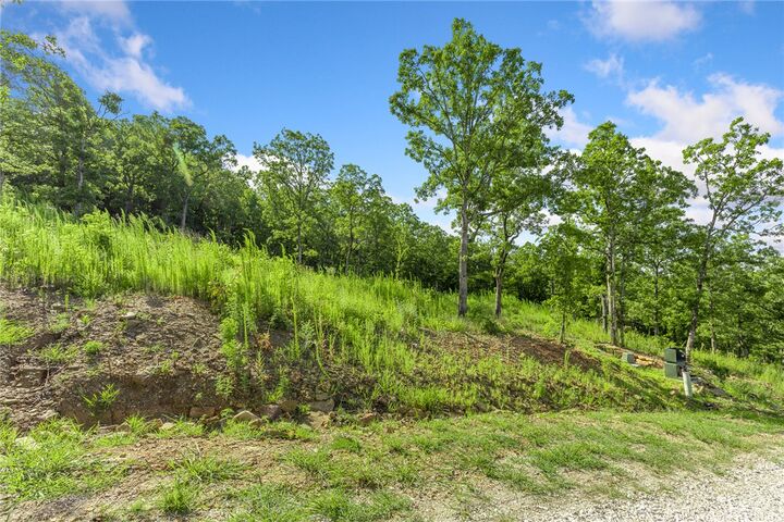 Property Photo:  Lot 14 Peaceful Place  AR 72601 