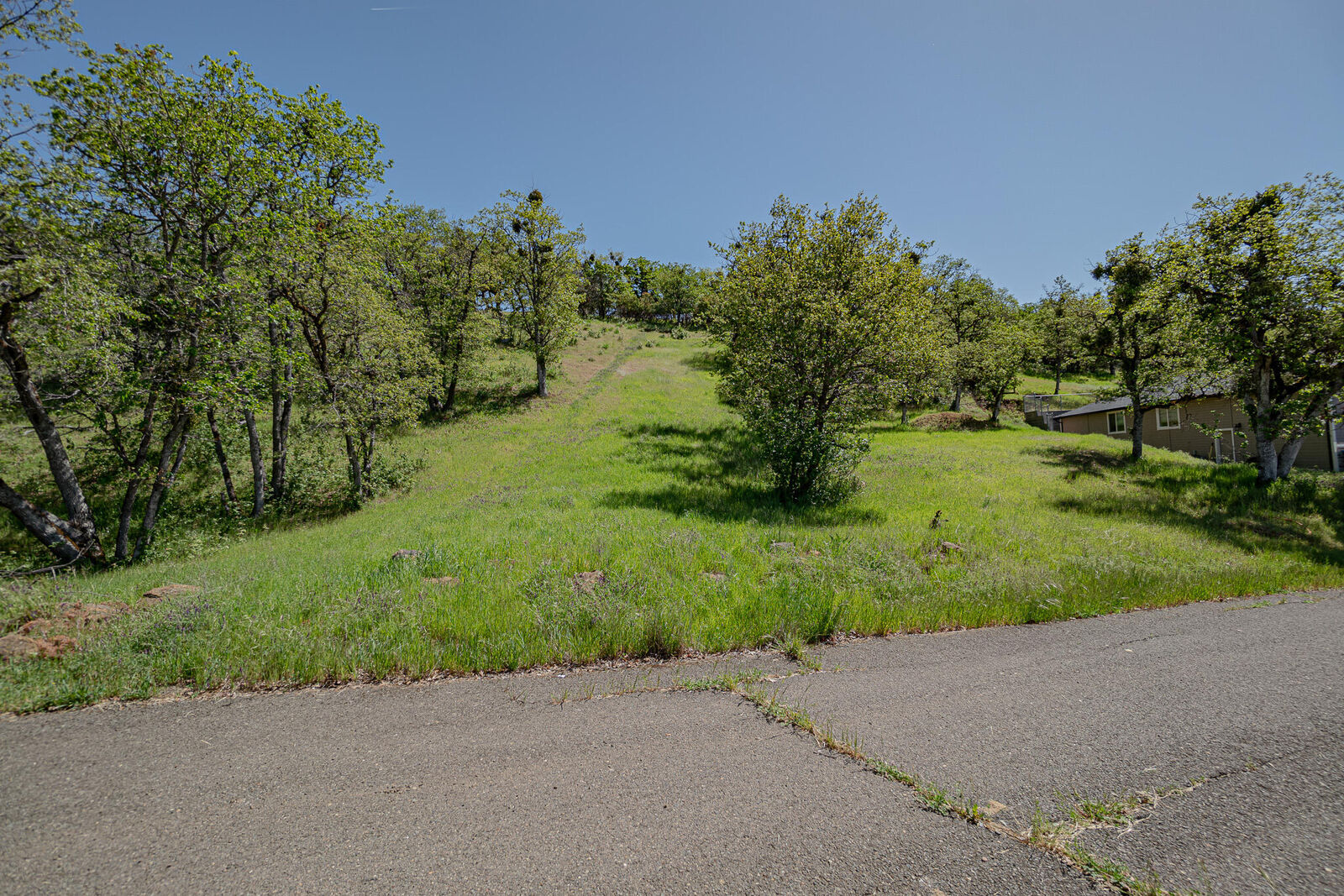 Property Photo:  374 Avalon Terrace  OR 97524 