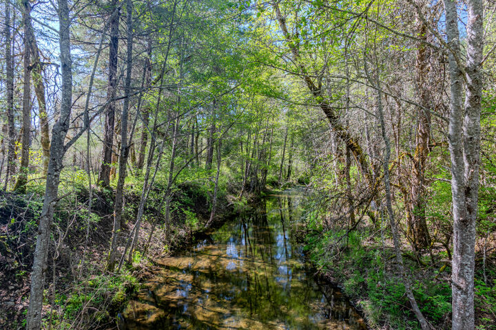 Property Photo:  23112 E Evans Creek Road  OR 97502 