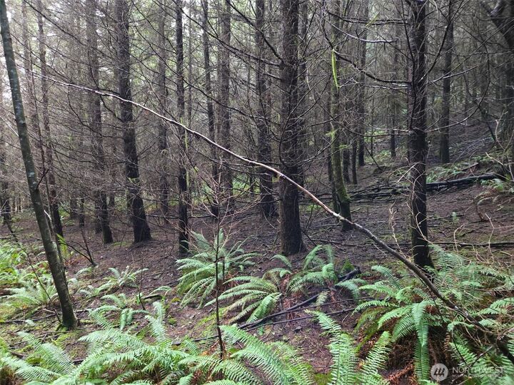 Property Photo:  0 End Of  Workman Creek Road  WA 98541 