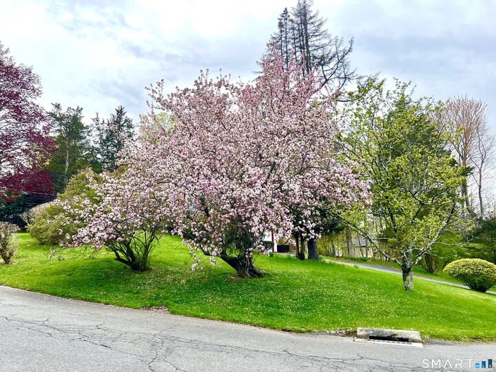 Property Photo:  37 Skyline Drive  CT 06032 