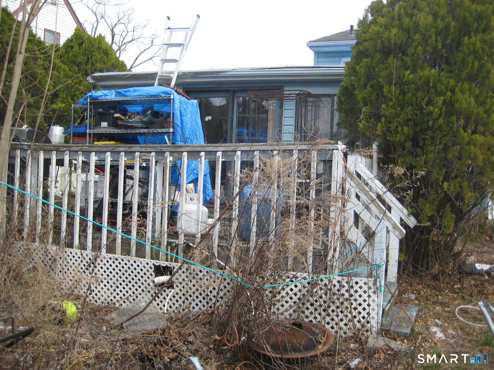 Property Photo:  47 Claremont Avenue  CT 06492 