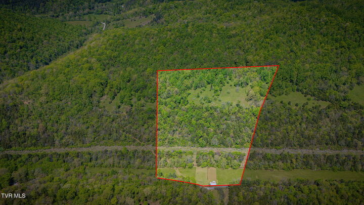 Property Photo:  5367 Clinch Mountain Road  TN 37731 