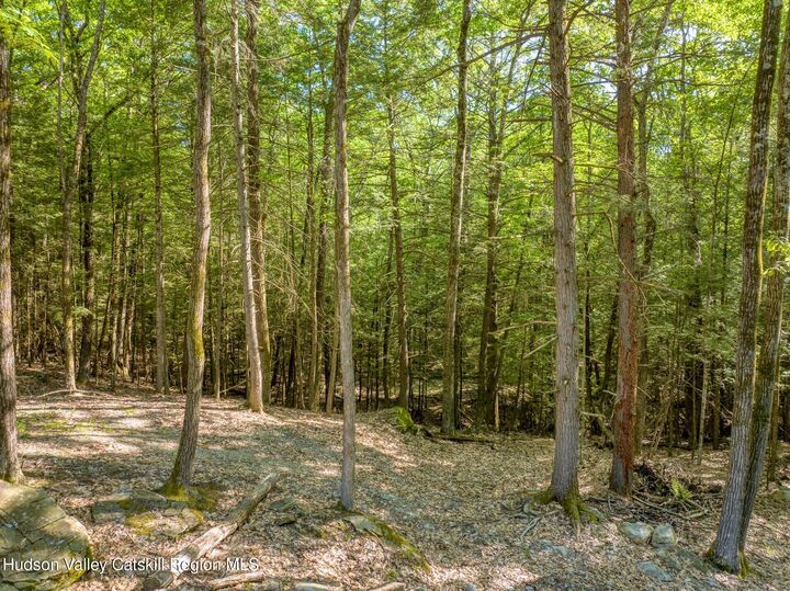 Property Photo: 291 Acorn Hill NY 12461