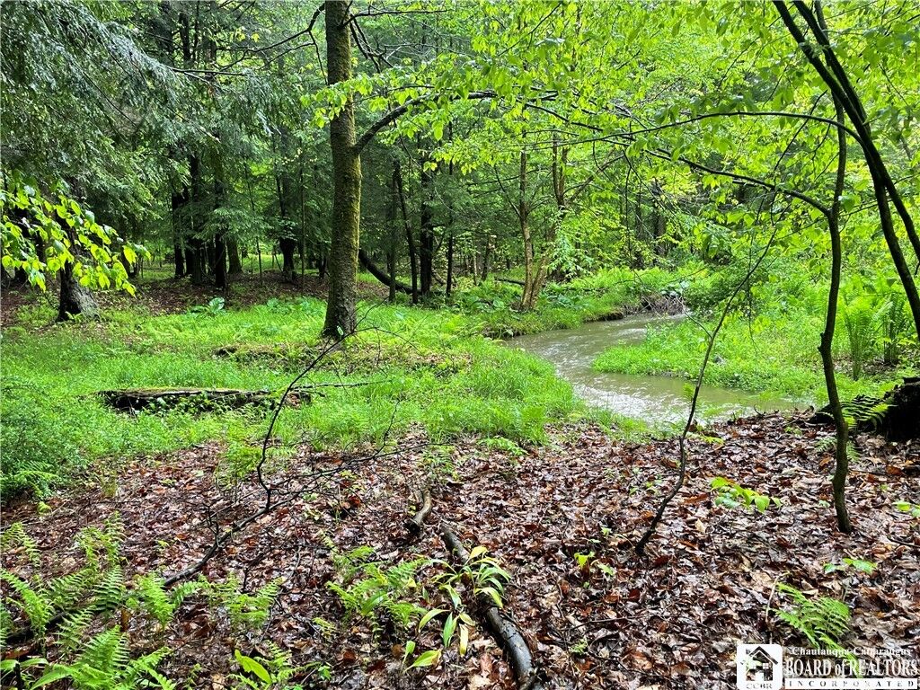 Property Photo:  0 Walker Road  NY 14712 