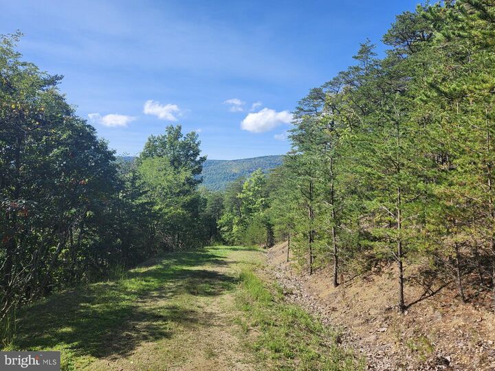 Property Photo:  Grace Mountain Lane  WV 26838 