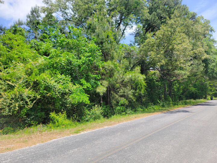 Property Photo:  0000 Murraysville Road  SC 29461 