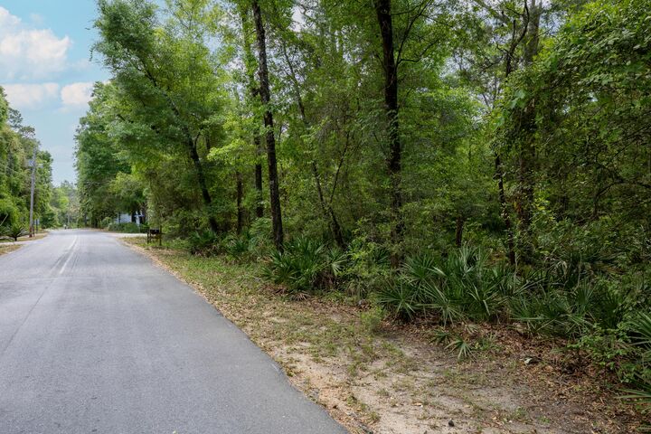 Property Photo:  Lot X Piney Point Road  FL 32439 