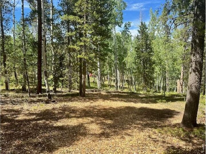 Property Photo:  293 Aspen Cir  CO 80422 