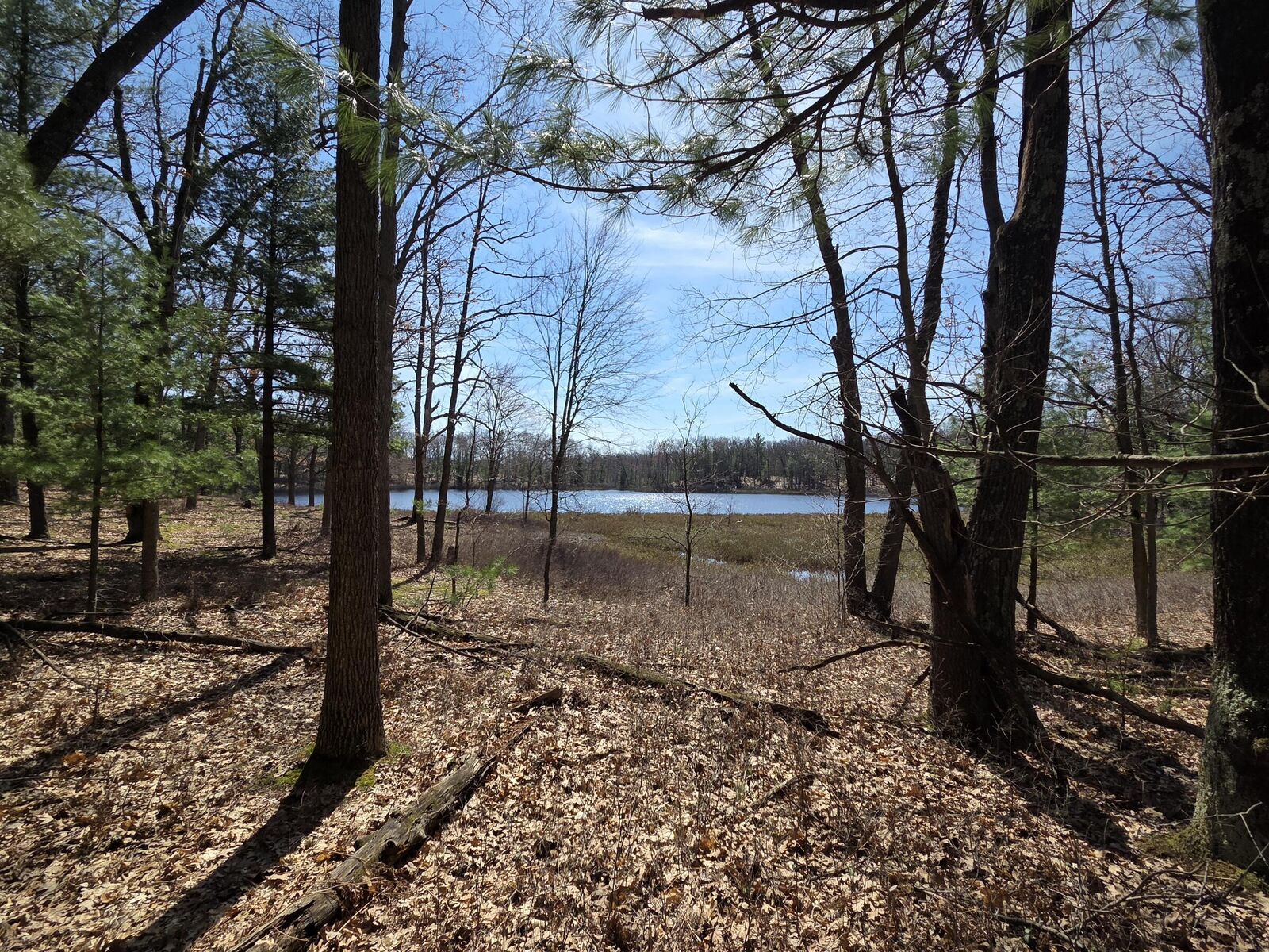 Property Photo:  6446 N Sunshine Drive  MI 49644 