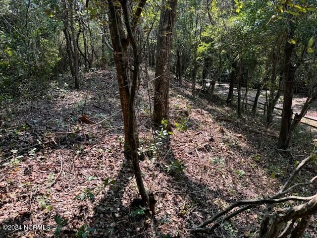 Property Photo:  9B 9B W Ridge  NC 28445 