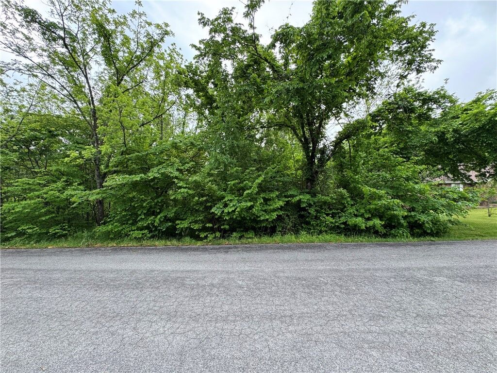 Property Photo:  4 Bankfoot Drive  AR 72715 