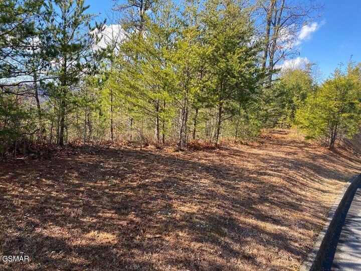 Property Photo:  1824 Pinestand Ridge Way  TN 37862 