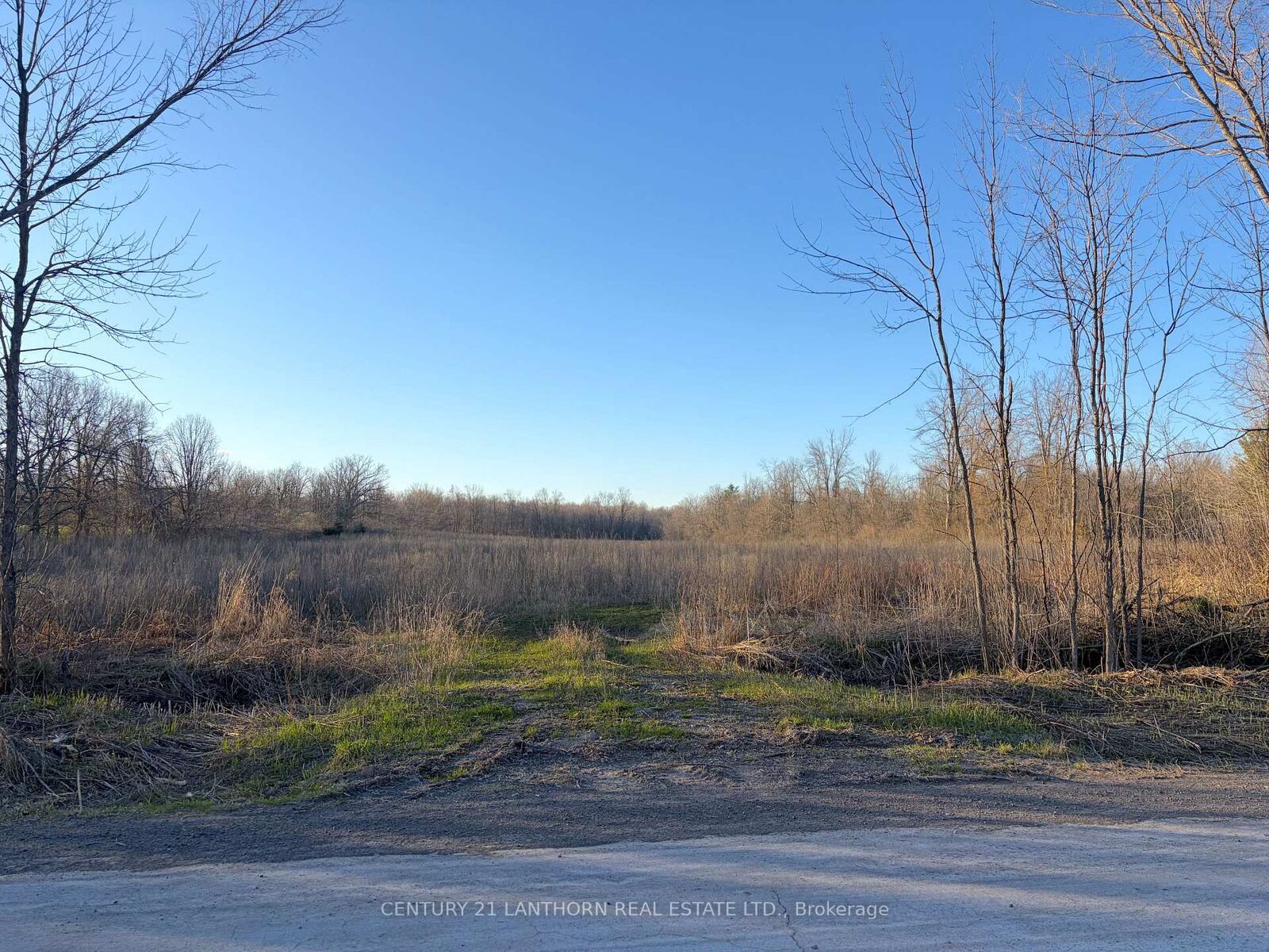 Property Photo:  0 Reid Settlement Road  ON K0K 2K0 