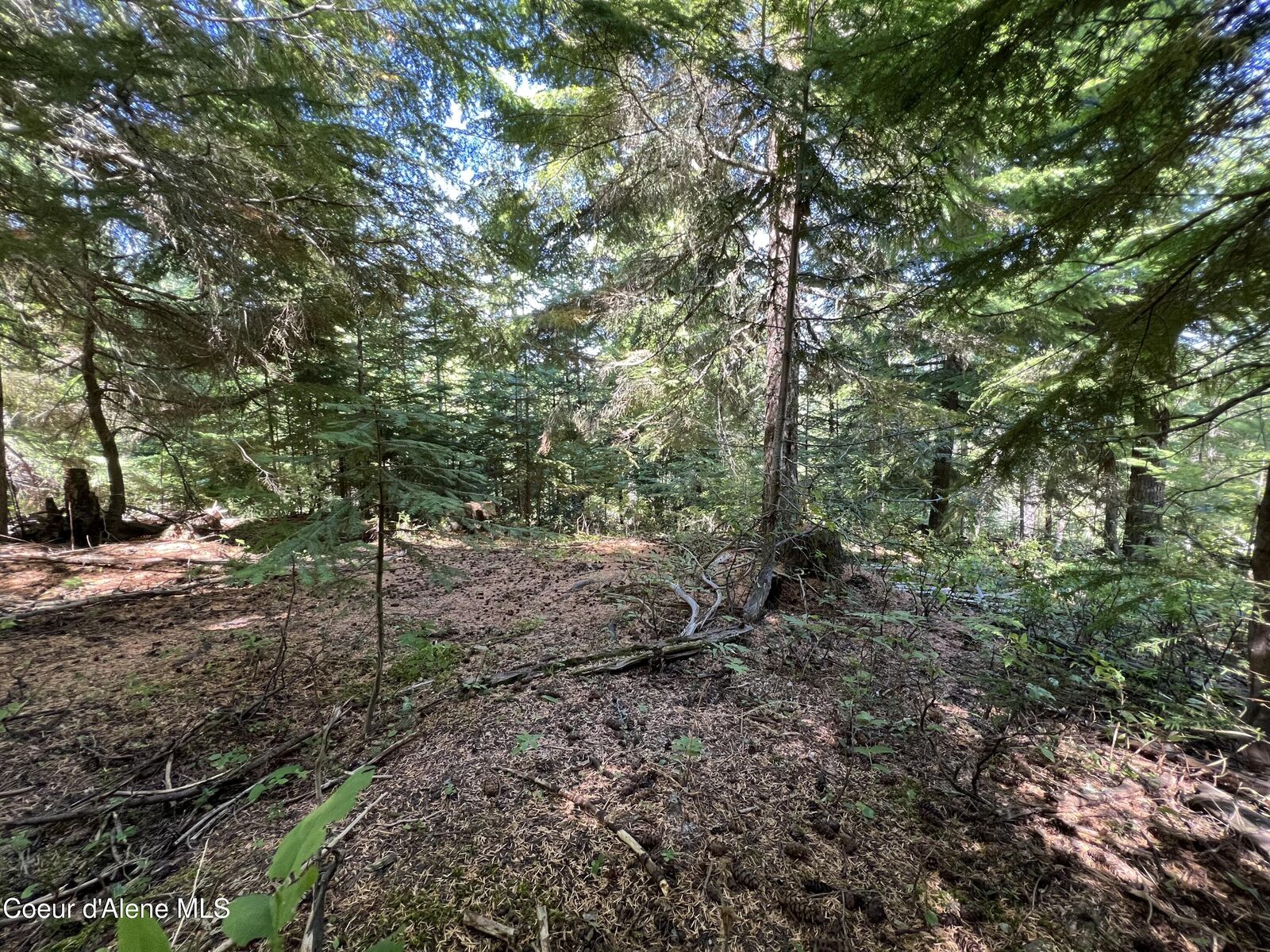 Property Photo:  520 Alpine Dr  ID 83830 