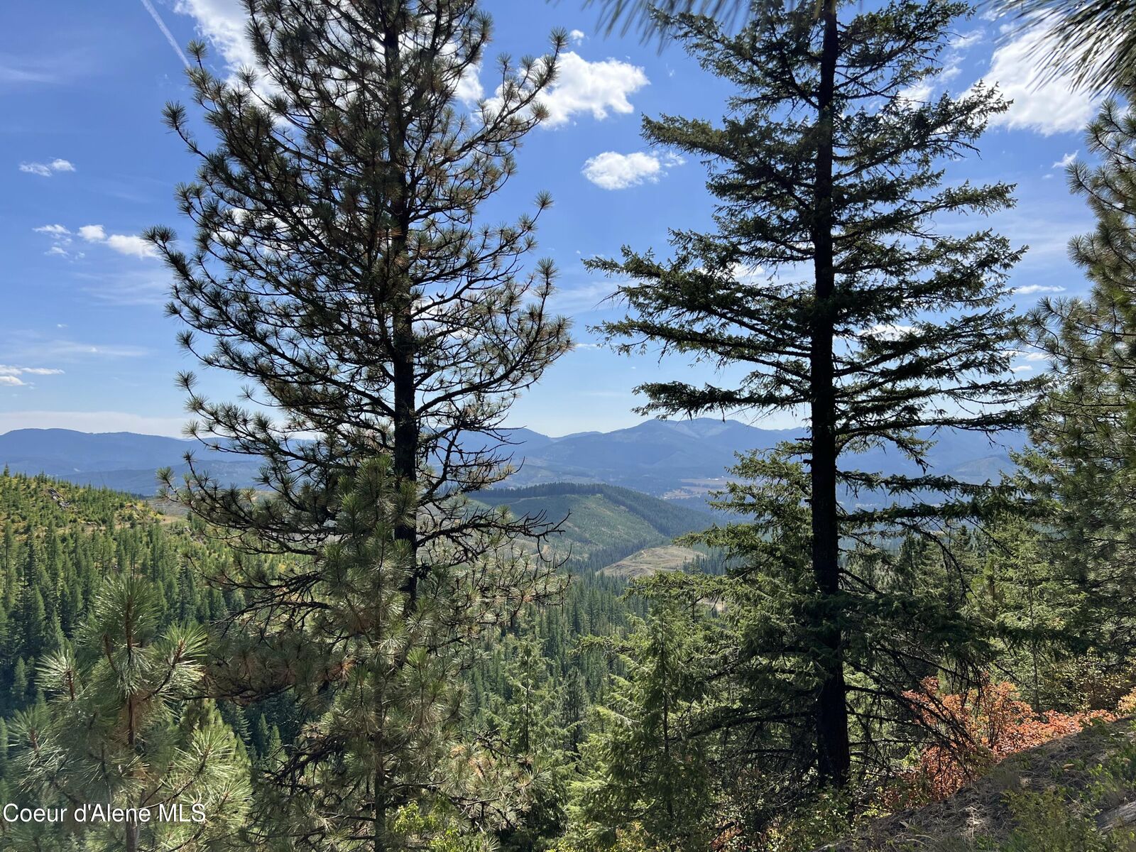 Property Photo:  1425 Upriver View Dr  ID 83830 
