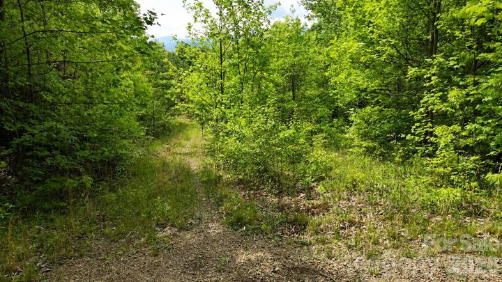Property Photo:  99999 Wolverine Court 53  NC 28785 