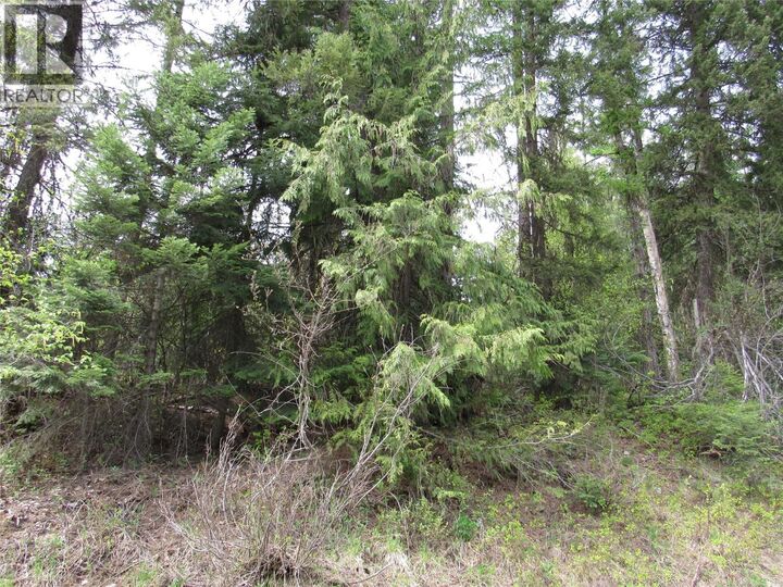 Property Photo:  Lot 14 Nelson Rural 08182.140 Other  BC V0G 2G3 