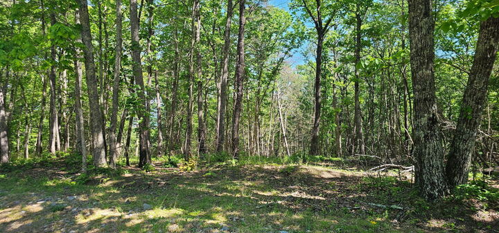 Property Photo: 0 Bluffview Dr TN 37327