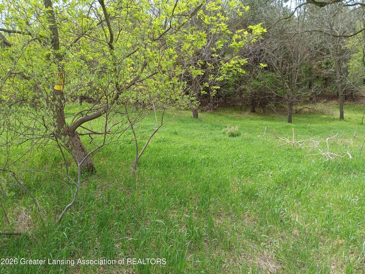 Property Photo:  54 Bennington Greens Drive  MI 48867 