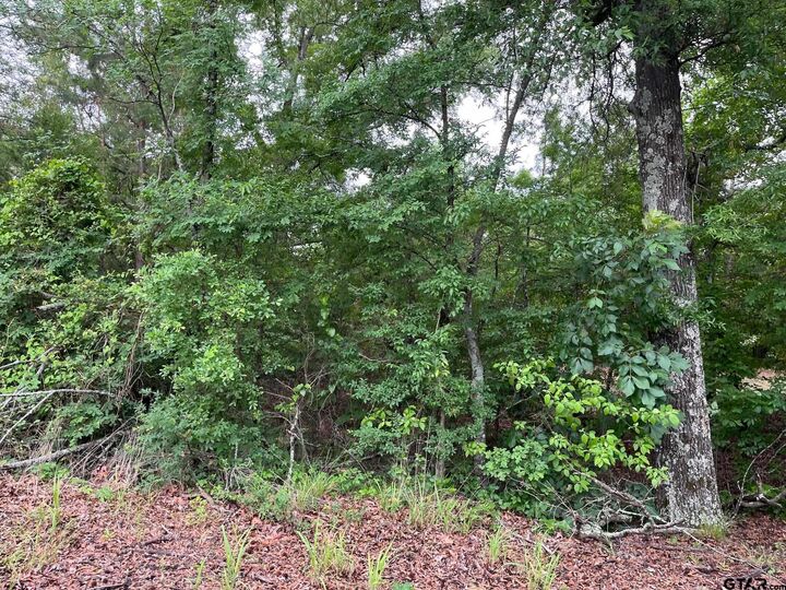 Property Photo:  Tbd Fm 779 Off Hwy 37  TX 75773 