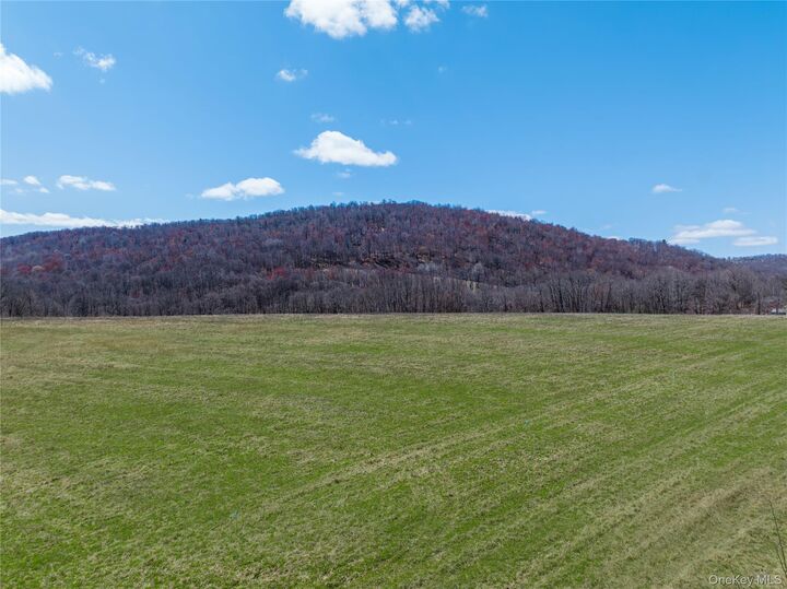 Property Photo: Lot # 10 McGhee Hill Road NY 12546