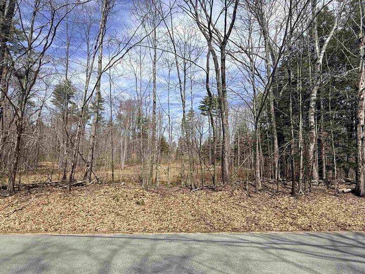 Property Photo:  Map 208 Lot 8-2 Baptist Hill Road  NH 03224 