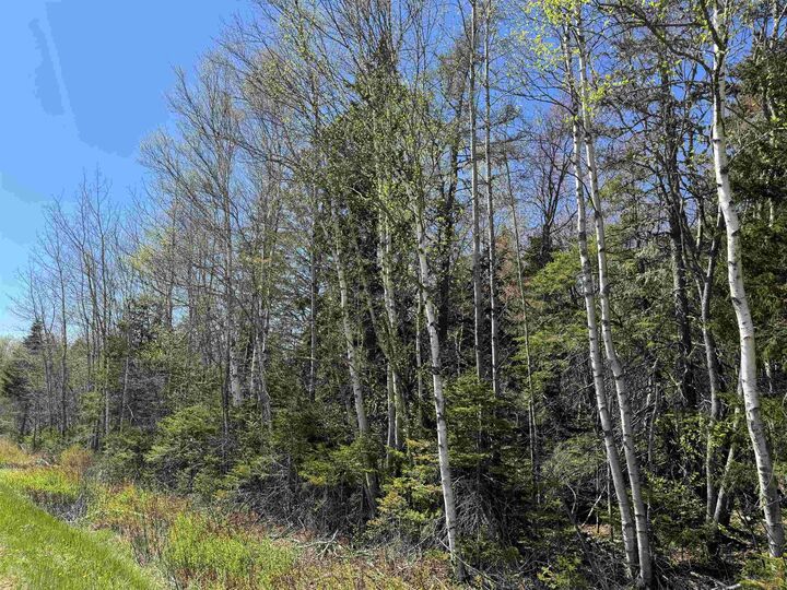 Property Photo:  Lot 4 Highway 509  NS B0L 1B0 