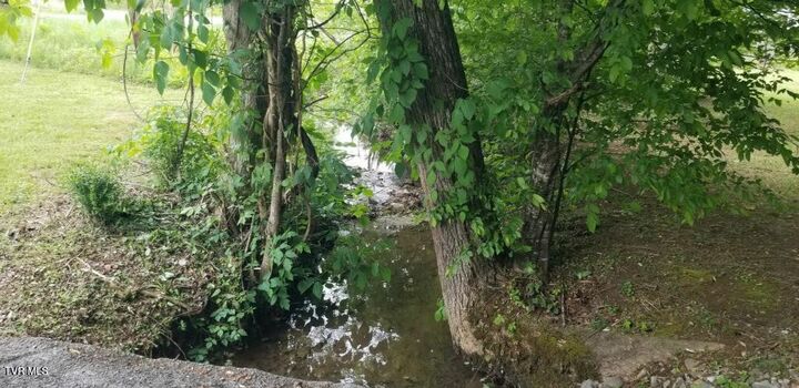 Property Photo:  1561 Jobey Green Hollow Road  TN 37876 