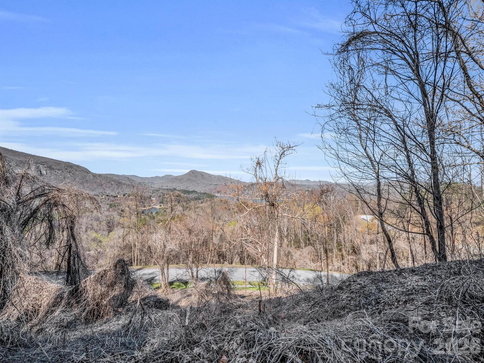 Property Photo:  0 Clear Creek Trail 30  NC 28746 