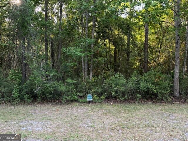 Property Photo:  V/L 21 Lighthouse Circle  GA 31569 