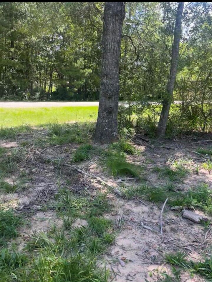 Property Photo: 56 Firewood Road TX 77340