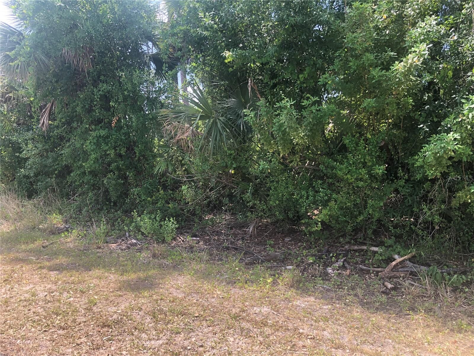 Property Photo:  Dandurand Avenue  FL 34291 