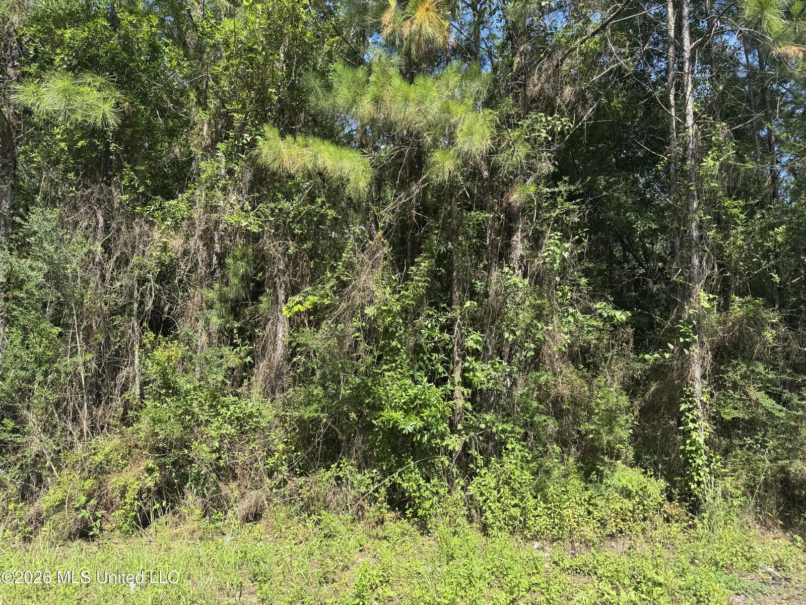 Property Photo: 00 Schrader Court MS 39574
