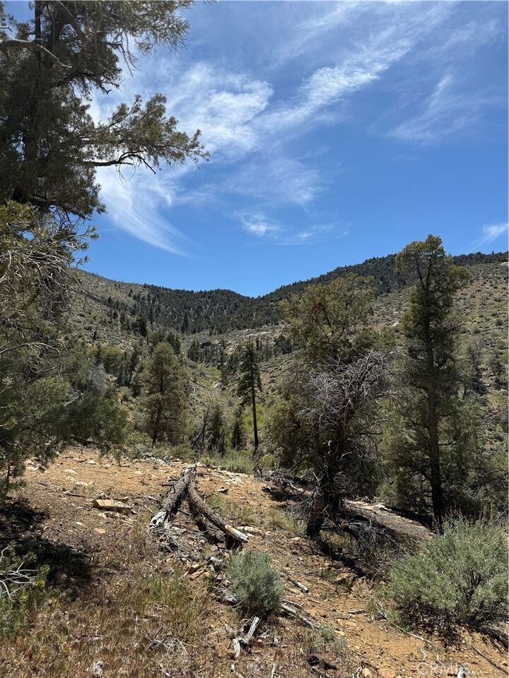 Property Photo: 0 310-040-017 Pine Creek Valley Road CA 93527