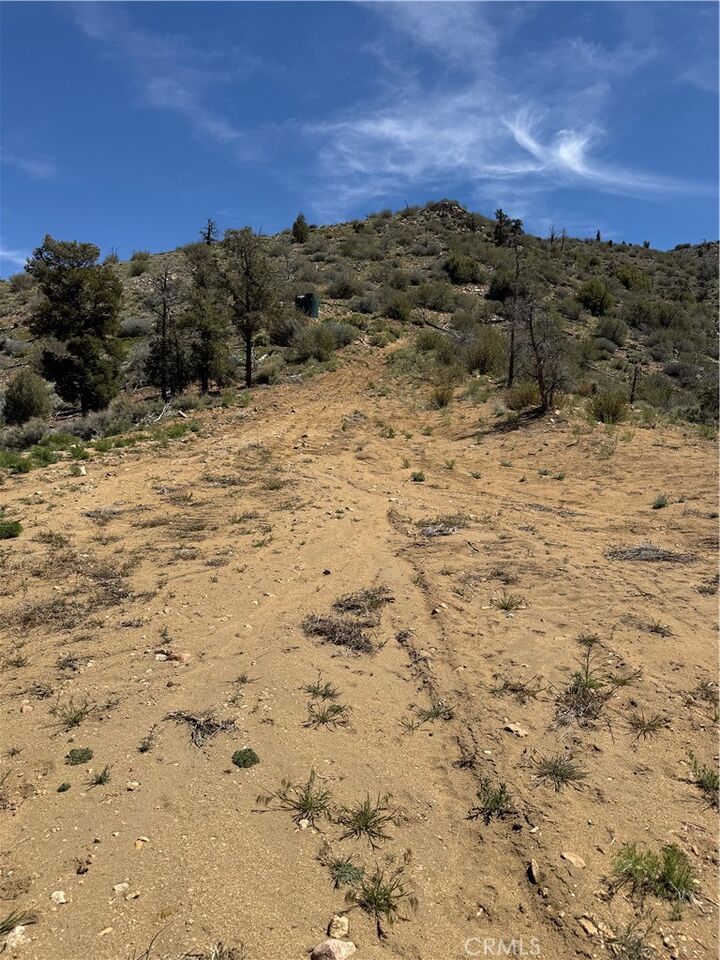 Property Photo:  0 310-040-017 Pine Creek Valley Road  CA 93527 