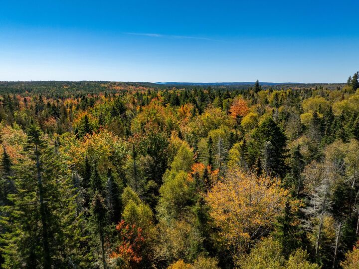 Property Photo:  47/48D Duck Cove Road Road  ME 04654 