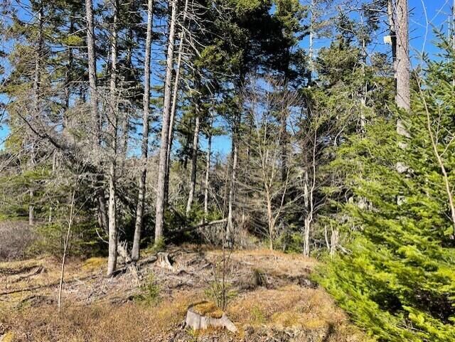 Property Photo:  9 Rockledge Road  ME 04858 