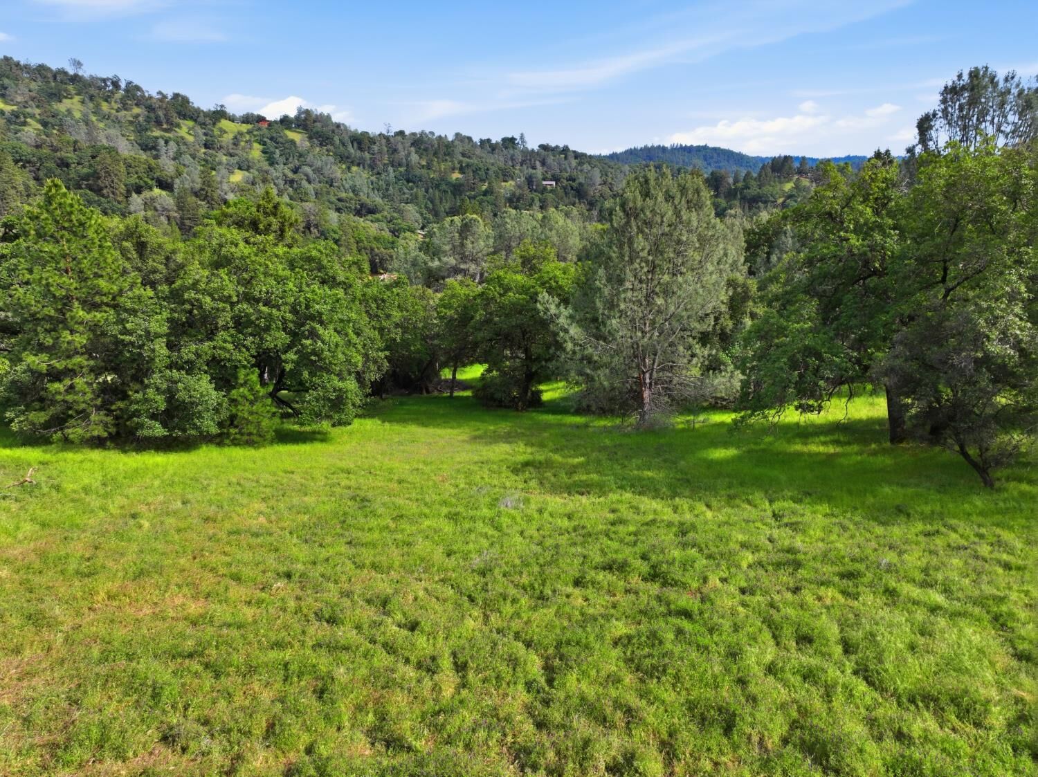 Property Photo:  19371 Peyton Place  CA 95949 