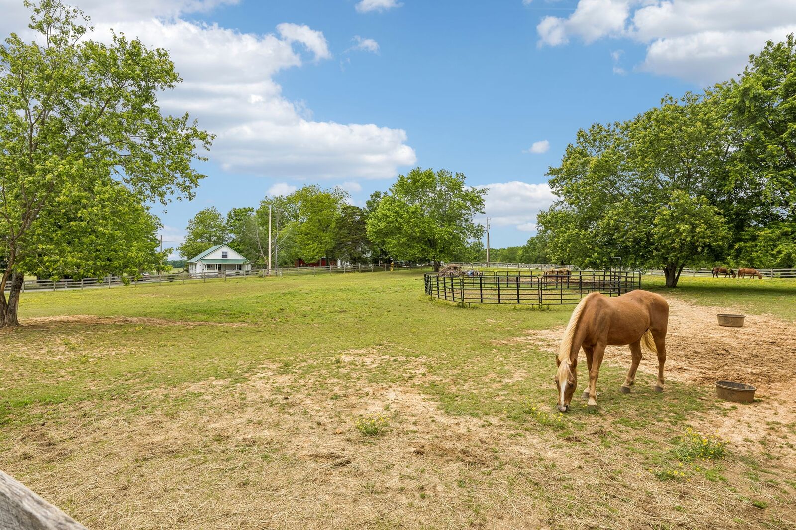 Property Photo:  106 N Maple Ave  TN 38456 