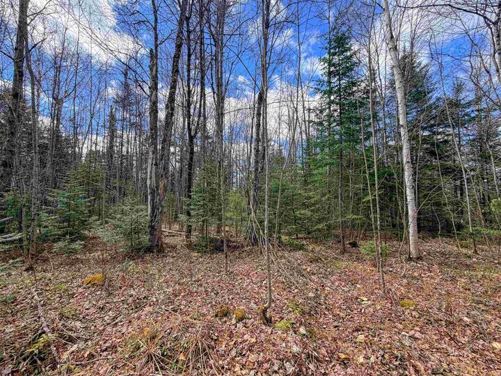 Property Photo:  Lot 4 Oregon Road  VT 05824 
