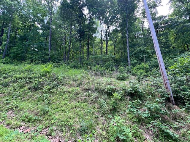 Property Photo: 6 Wildcat Drive AR 72631