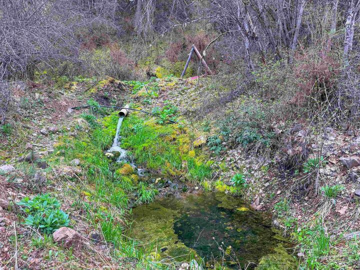 Property Photo:  4224-C Grouse Creek Rd C  WA 99148 