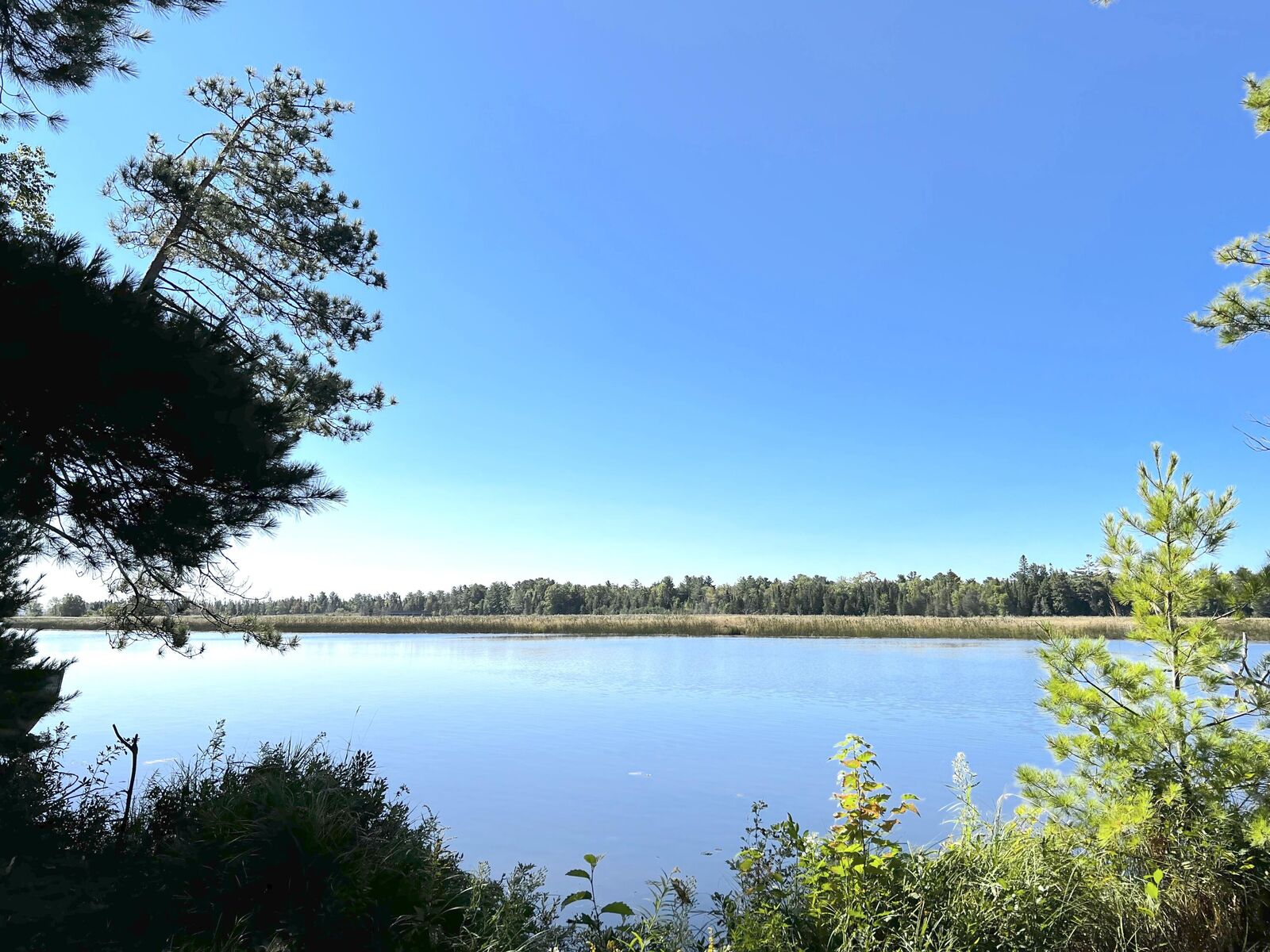 Property Photo:  4.9 Acres Tahqua Trl  MI 49768 