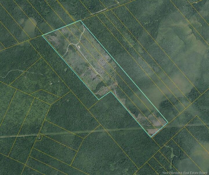 Property Photo: - South Napan - 4 Interior Woodlot Parcels NB E1N 4W5