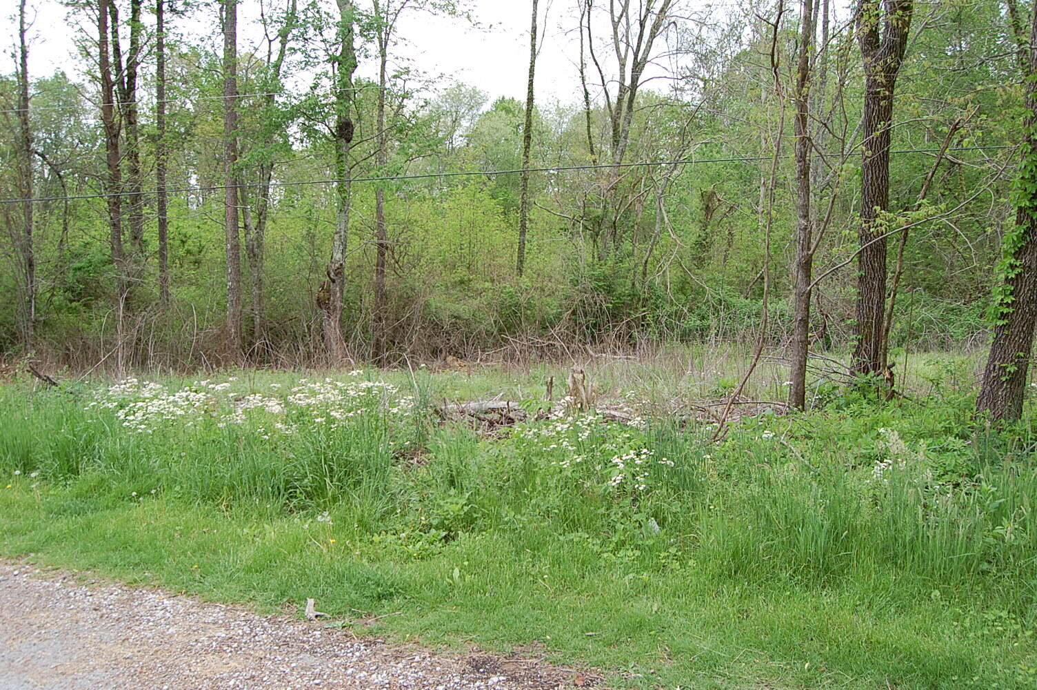Property Photo: 67 51st Avenue TN 37339