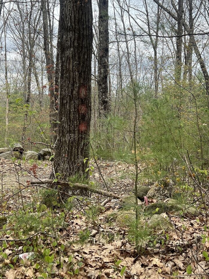 Property Photo: 0 Miner Rd MA 01037