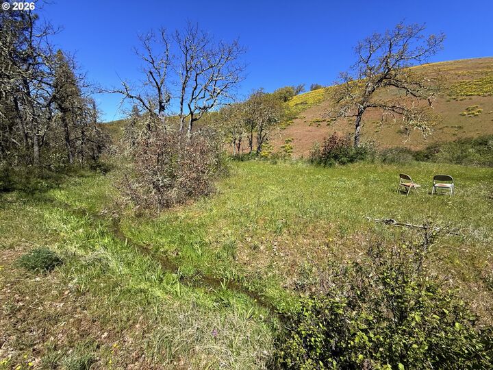 Property Photo:  Kestrel Rd  WA 98635 