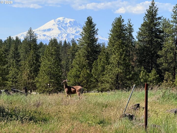 Property Photo:  90 Harris Pl  WA 98620 